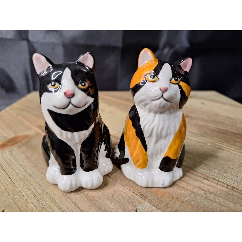 Tuxedo and Calico Cat Ceramic Salt and Pepper Shakers Set Black White Orange